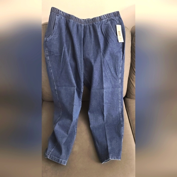 NWT 🌸💙Alia Blue Plus Size Women Pull On Pants: size 18W💙🌸 - Picture 1 of 6